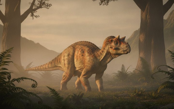 “いなかったはず”の角竜がヨーロッパに！新属フェレンケラトプス｜トランシルヴァニアで再発見（ルーマニア・2026年）